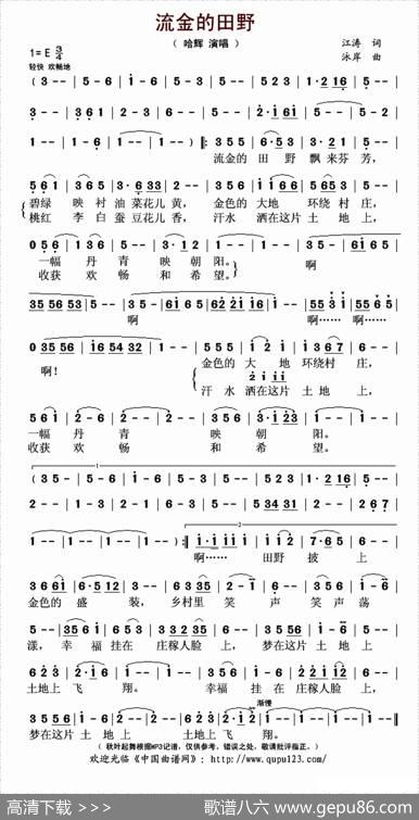 流金的田野 - 江涛|泳岸