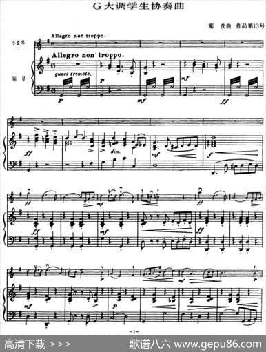 塞茨初级小提琴协奏曲Op.13（G大调学生协奏曲）|塞茨