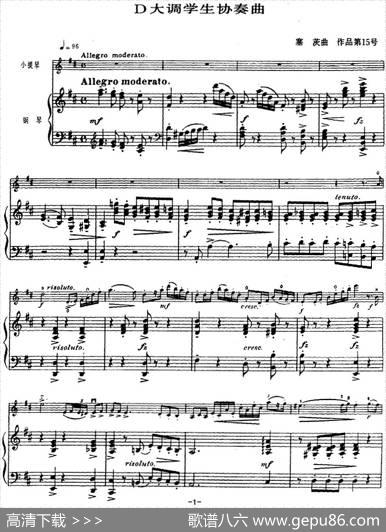 塞茨初级小提琴协奏曲Op.15（D大调学生协奏曲）|塞茨