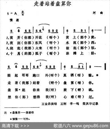 走着站着盘算你|山西河曲民歌
