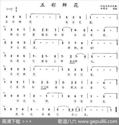[印尼]五彩鲜花|林蔡冰译配