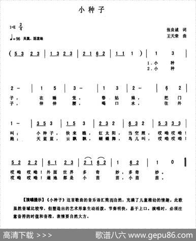 小种子 - 张良诚|王天荣
