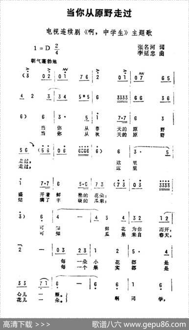 当你从原野走过（电视剧《啊，中学生》主题曲） - 张名河|李延忠