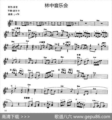林中音乐会