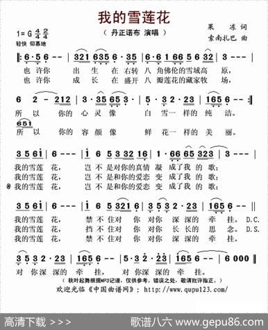 我的雪莲花 - 果冻|索南扎巴