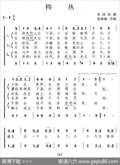 棽丛（英）
