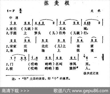 拣麦根
