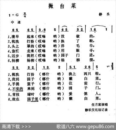 撇白菜
