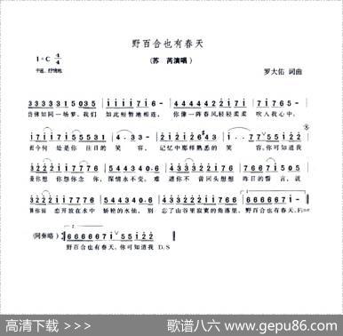 野百合也有春天 - 罗大佑|罗大佑