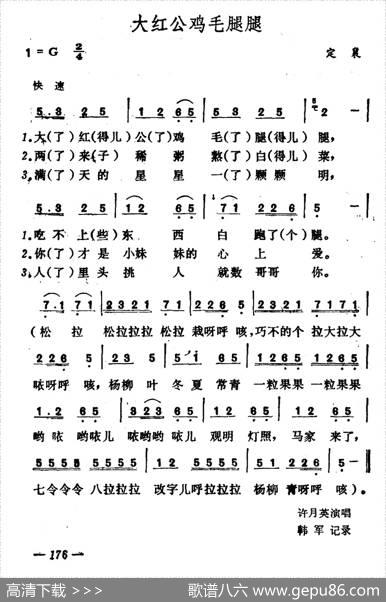 大红公鸡毛腿腿