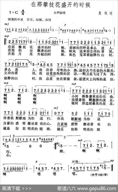 在那攀枝花盛开的时候 - 晨枫|楚兴元