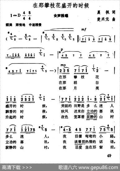 在那攀枝花盛开的时候 - 晨枫|楚兴元