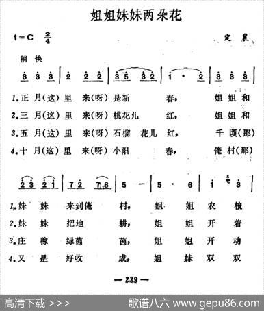 姐姐妹妹两朵花