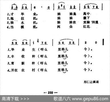 姐姐妹妹两朵花