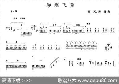彩蝶飞舞|宿英陈捷