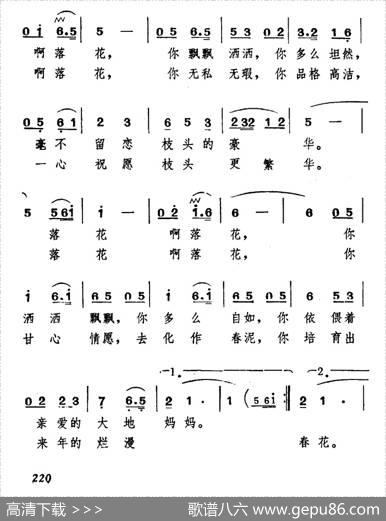 落花颂 - 张东辉|臧东升