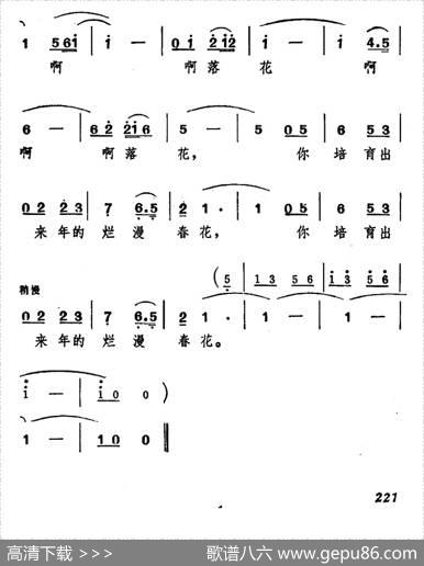 落花颂 - 张东辉|臧东升