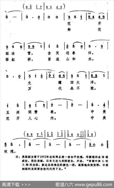 玫瑰，和平玫瑰 - 张红曙|臧东升