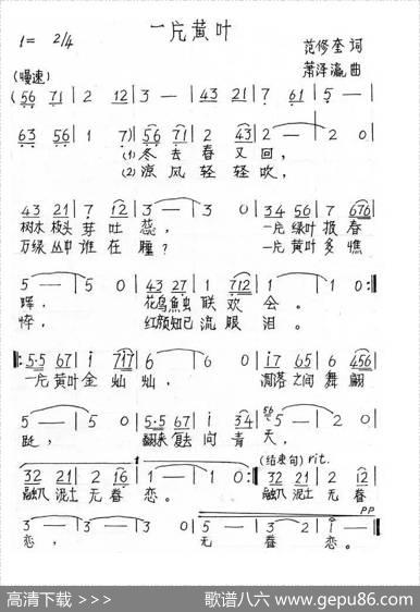 一片黄叶 - 范修奎|萧泽瀛