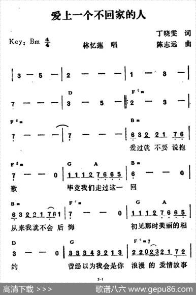 爱上一个不回家的人（带和弦版） - 丁晓雯|陈志远