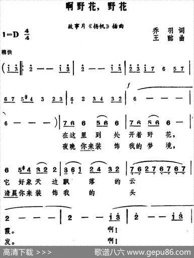 啊野花，野花（电影《扬帆》插曲） - 乔羽|王酩