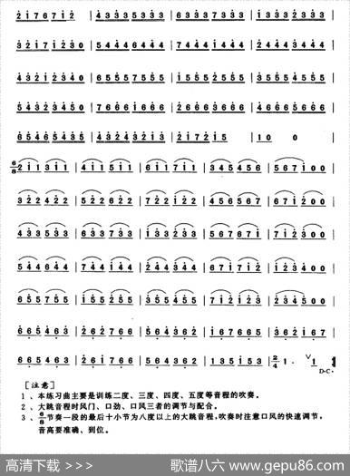 笛子连分音大跳练习|向思义