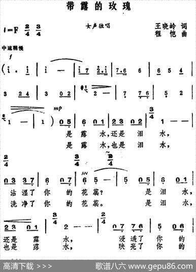带露的玫瑰（王晓岭词程恺曲） - 王晓岭|程恺