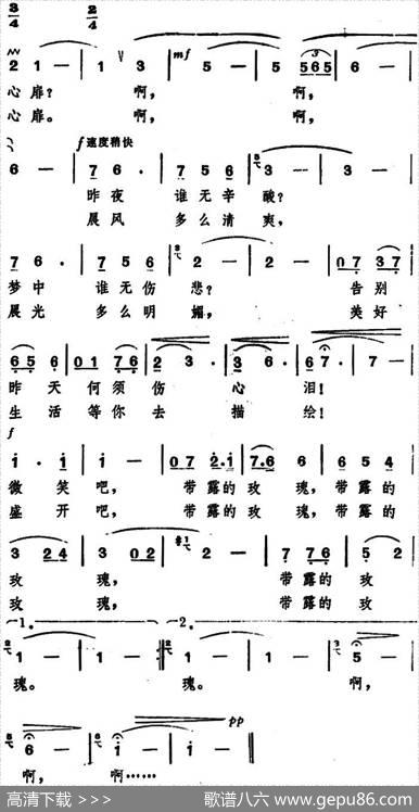带露的玫瑰（王晓岭词程恺曲） - 王晓岭|程恺