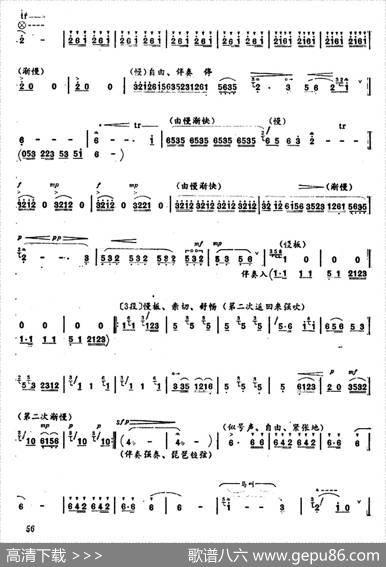 藏族女民兵|胡结续