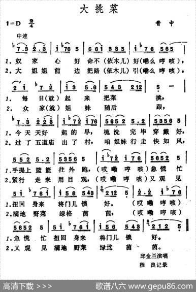 大挑菜