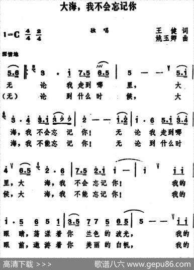 大海，我不会忘记你 - 王健|姚玉卿