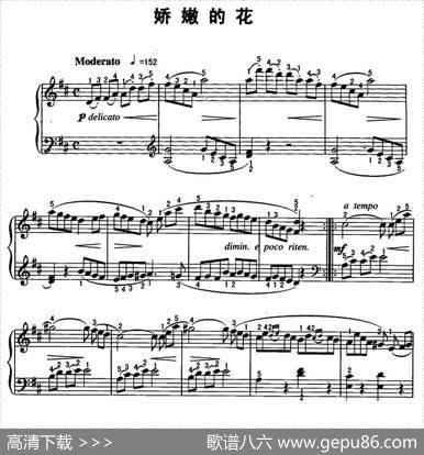 娇嫩的花