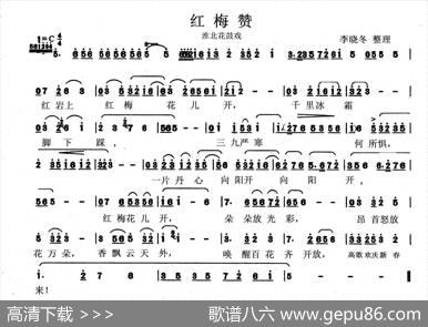 [淮北花鼓戏]红梅赞