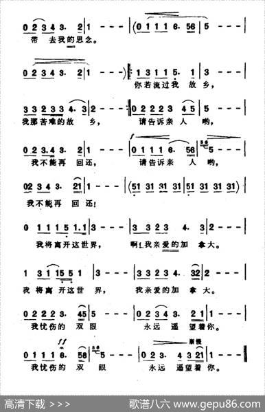 [加拿大]流浪的加拿大人