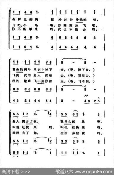 [波]小鸟（合唱波兰民歌）|[波]塞格廷斯基