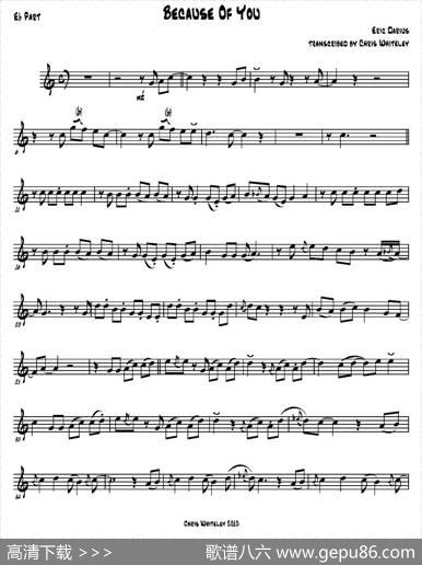BecauseOfYou（Eb-PAZT）