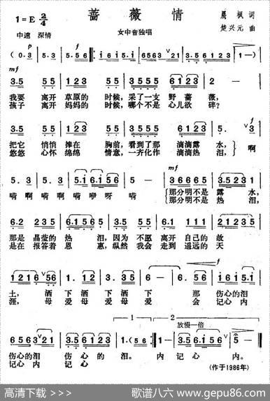 蔷薇情 - 晨枫|楚兴元