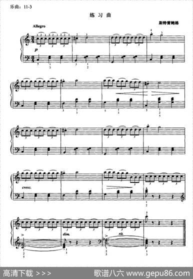 斯特雷鲍格练习曲|斯特雷鲍格