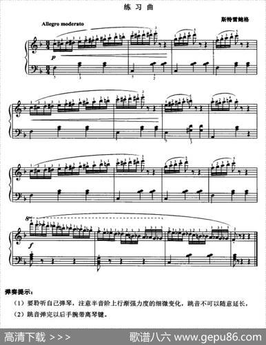 斯特雷鲍格练习曲|斯特雷鲍格