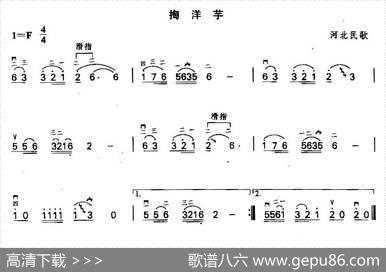 掏洋芋
