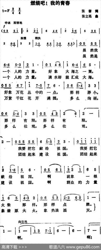 燃烧吧！我的青春 - 张藜|张立昆