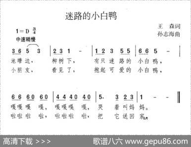 迷路的小白鸭 - 王森|孙志海