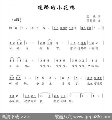 迷路的小花鸭 - 王森|王紫萱