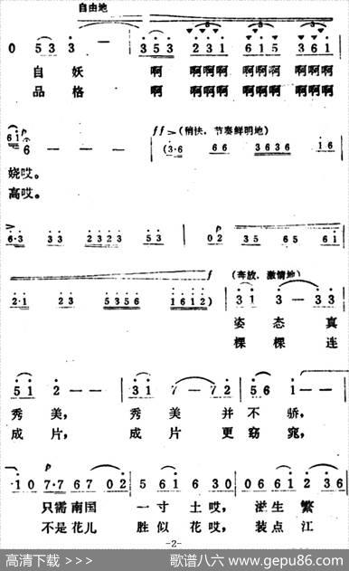 翠竹赞 - 岩石|张铜柱