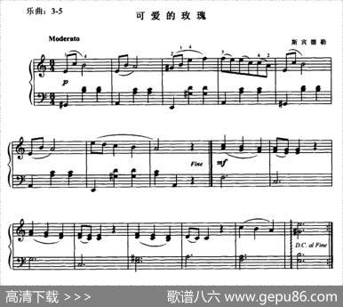 可爱的玫瑰|斯宾德勒