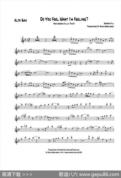 DoYouFeelWhatImFeeling（中音萨克斯）