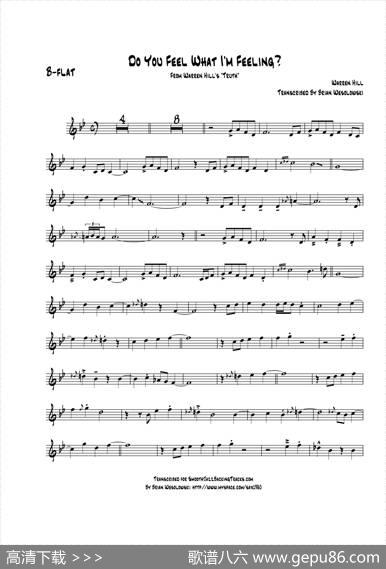 DoYouFeelWhatImFeeling（次中音萨克斯）