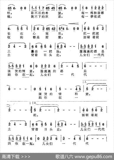 生死相依的土地 - 晨枫|楚兴元、陈永信
