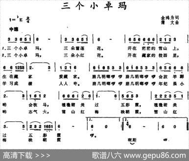 三个小卓玛 - 金鸿为|蒲文