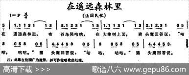 [法]在遥远森林里